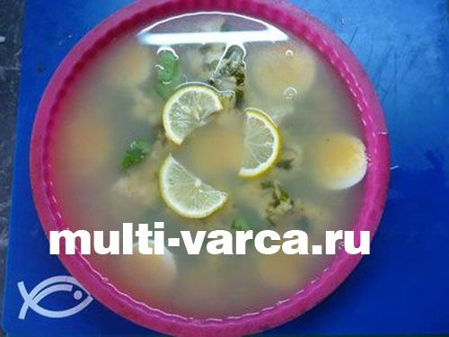 Заливне із судака в мультиварці