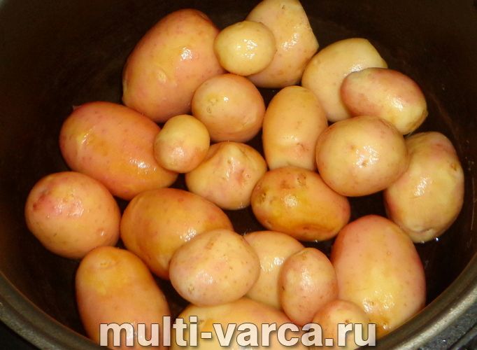 Картопля з кропом у мультиварці