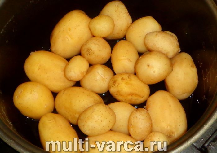 Картопля з кропом у мультиварці