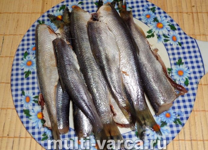 Шпроти із салаки в мультиварці